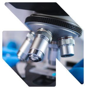 Custom Digital Solutions for Biopharma